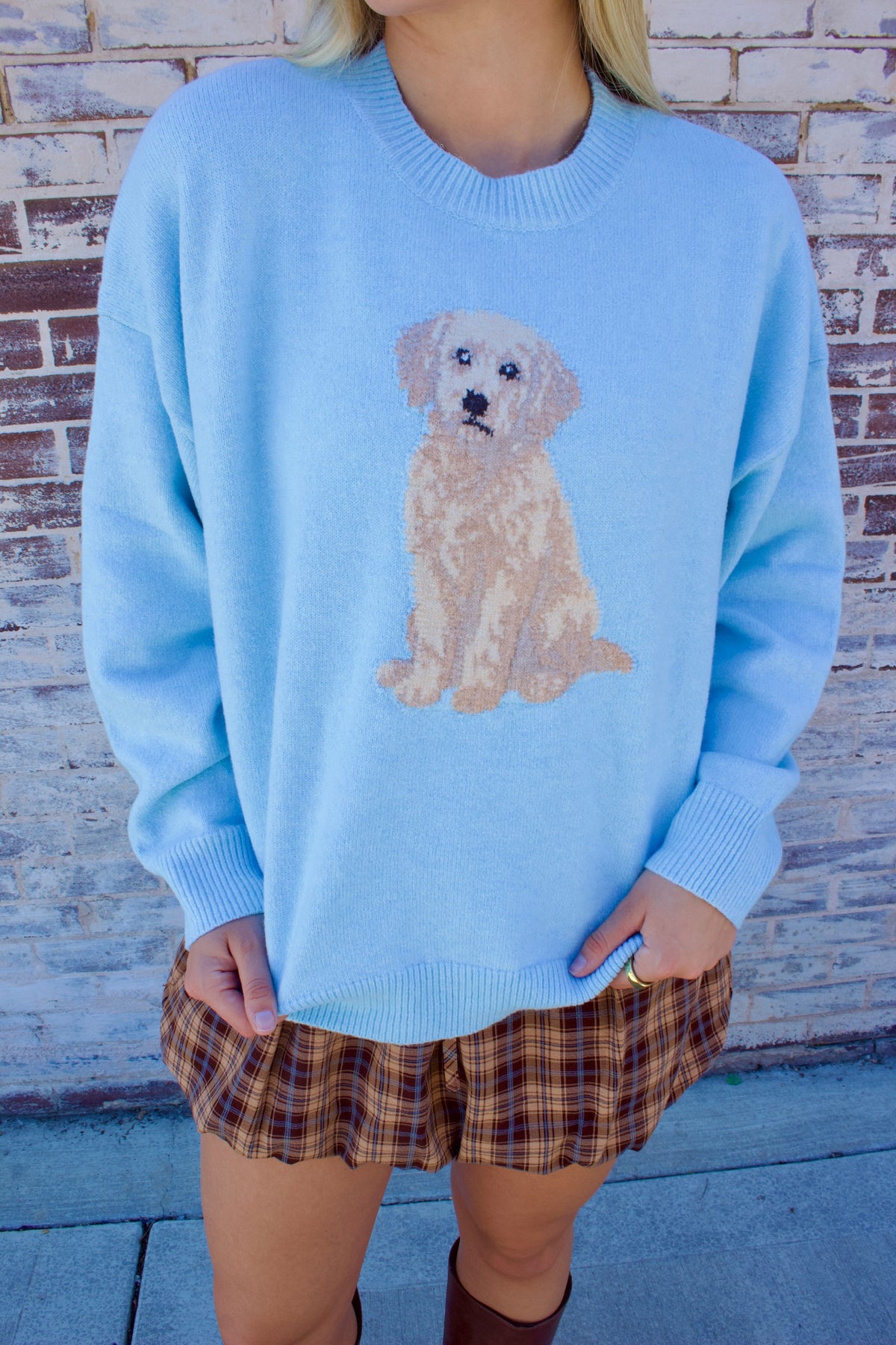 GOLDEN DOODLE SWEATER