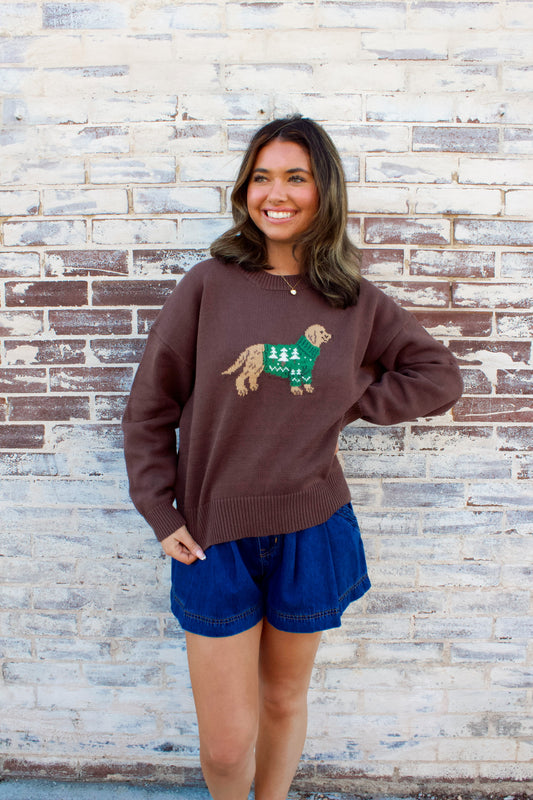 PUPPY FOR CHRISTMAS SWEATER